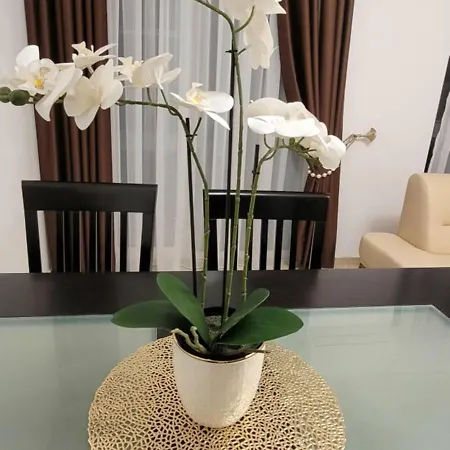 Silver Springs Premium Apartment